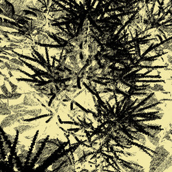 Similar image 7898087