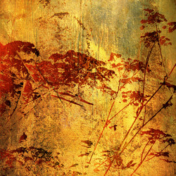 Similar image 7898115