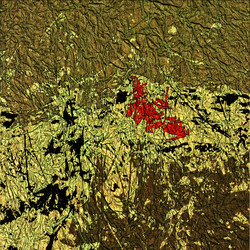 Similar image 7898119