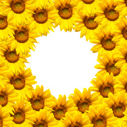 Similar image 7898134