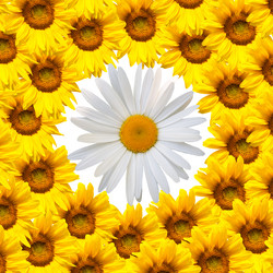 Similar image 7898136