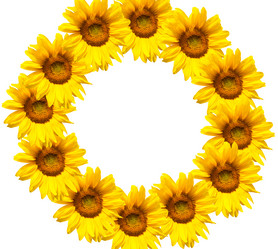 Similar image 7898138