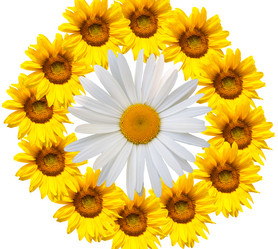 Similar image 7898139