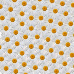 Similar image 7898140