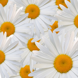 Similar image 7898141