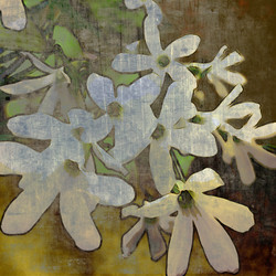 Similar image 7898169