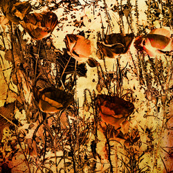 Similar image 7898206