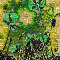 Similar image 7898220