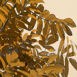 Similar image 7898222