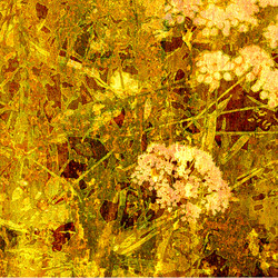 Similar image 7898228