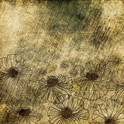 Similar image 7898262