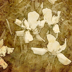 Similar image 7898266