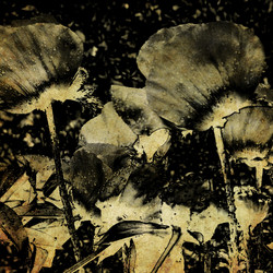 Similar image 7898275