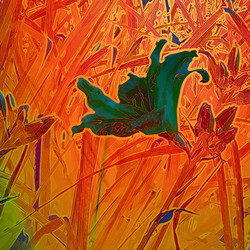 Similar image 7898292