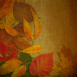 Similar image 7898340