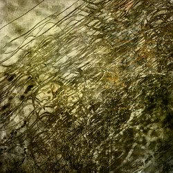 Similar image 7898377