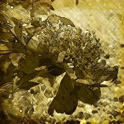 Similar image 7898379