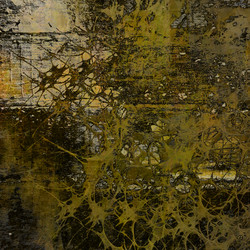 Similar image 7898419