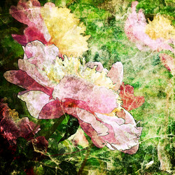 Similar image 7898426