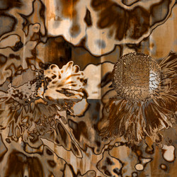 Similar image 7898471