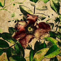 Similar image 7898474