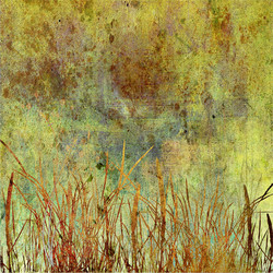 Similar image 7898510