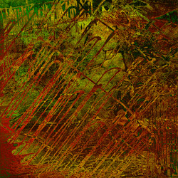 Similar image 7898522