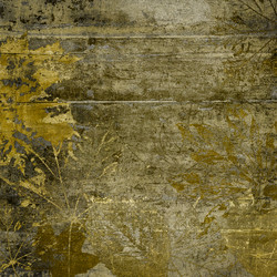 Similar image 7898567