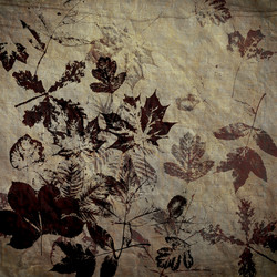 Similar image 7898610