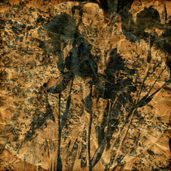 Similar image 7898637