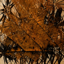 Similar image 7898679