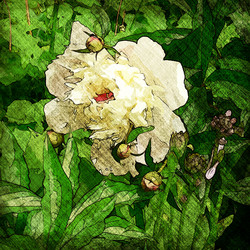 Similar image 7898690