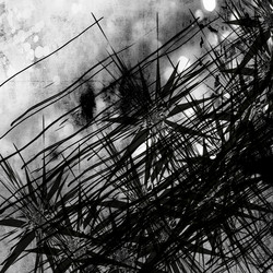 Similar image 7898704