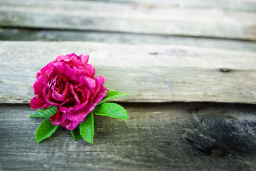 Similar image 7898710