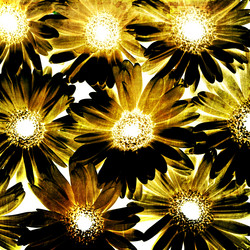 Similar image 7898713