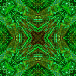 Similar image 7898722