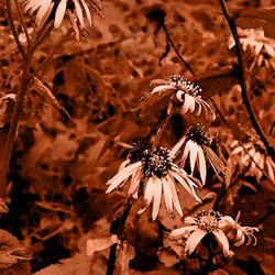 Similar image 7898725