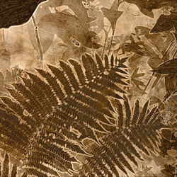 Similar image 7898726