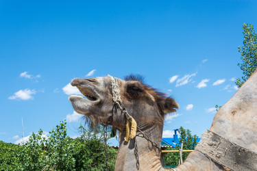 Similar image 7898800