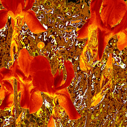 Similar image 7898811