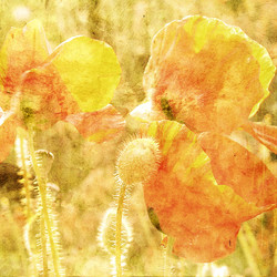 Similar image 7898848