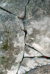 Similar image 7898850