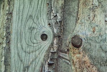 Similar image 7898851