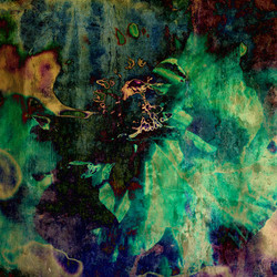 Similar image 7898852