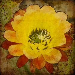 Similar image 7898865