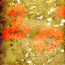 Similar image 7898878