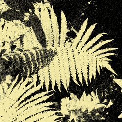 Similar image 7898884