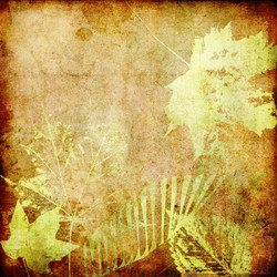 Similar image 7898907