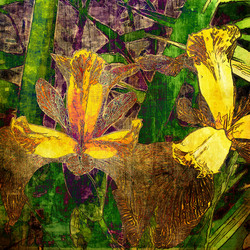 Similar image 7898915