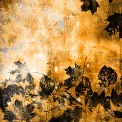 Similar image 7898941